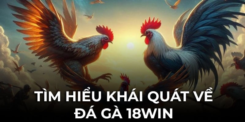 Hiểu về sảnh đá gà 18Win