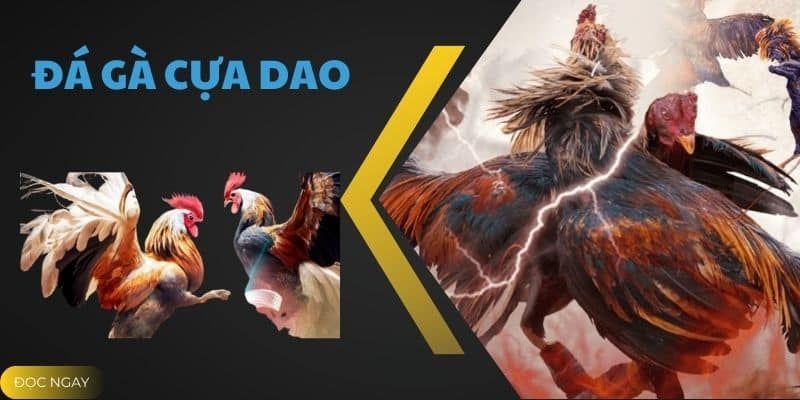 Tổng quan đá gà cựa dao 18win